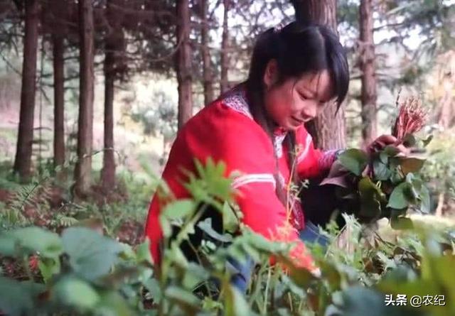 生妻不受待见的原因是什么，俗语“宁穷死，别娶生妻”，生妻是什么，为何穷死都不能娶