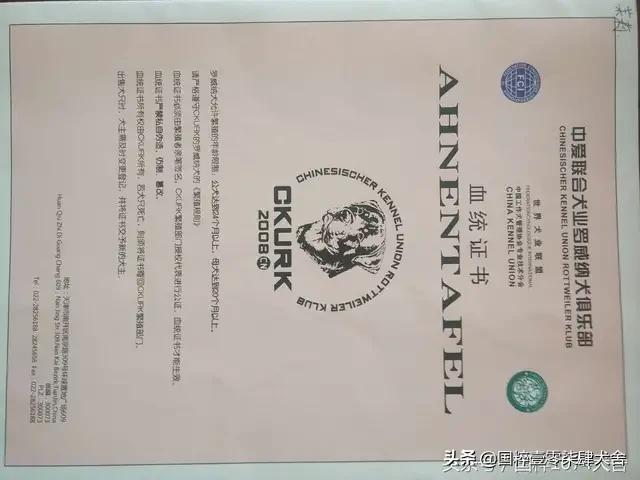 罗维纳犬报价:一只好点的罗威纳犬，大概要多少钱，为什么？