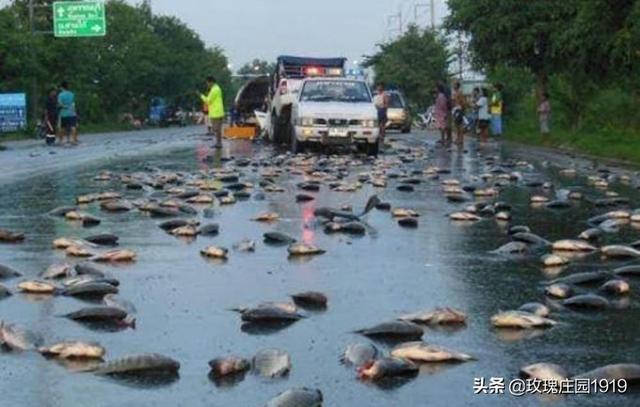 丰塞卡红葡萄酒，公司派我去洪都拉斯，每天补助200美金，但那很乱我该不该去