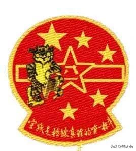 波斯猫儿贵宾原版视频:要不要养个宠物陪孩子？需要注意什么？