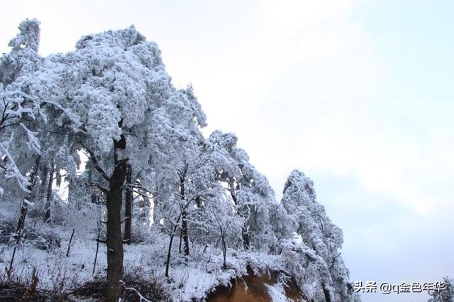 喀纳斯湖水怪抓住了:有的旅游地人去过一次后不久，又想去了，你碰到过吗
