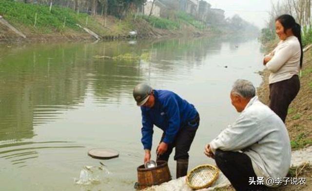 世界趣闻趣事荷兰老人漂娼，农村俗语：“穷走水一家毁，富涉淫三代贫”，告诉我们什么道理