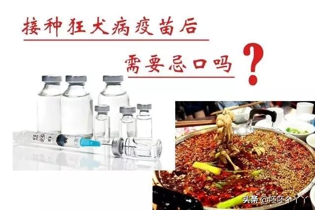 狂犬疫苗副作用:人接种狂犬疫苗后什么要注意的地方和忌口为什么要忌口？