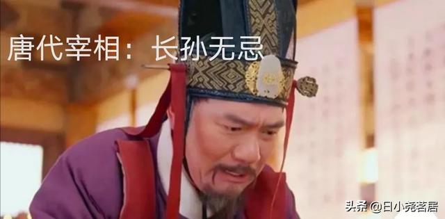 长孙无忌简介:康熙为何反感唐代的长孙无忌？为何因为此人而联想到废太子胤礽？