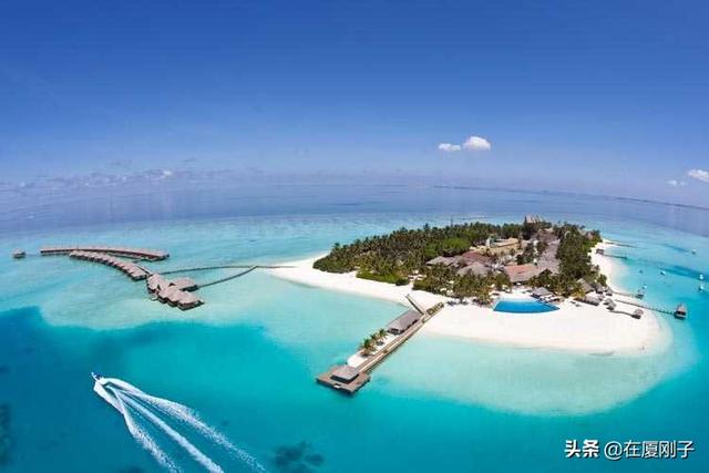 马鲷鱼多少钱一条:去马尔代夫旅游的话大概需要多少钱。需要注意些什么？