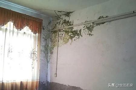 顶楼和二楼哪个好脱手,想买套房子，买顶楼还是二楼好呢？