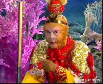毛孩于震环:你遇到过哪些奇葩人，或是奇葩事