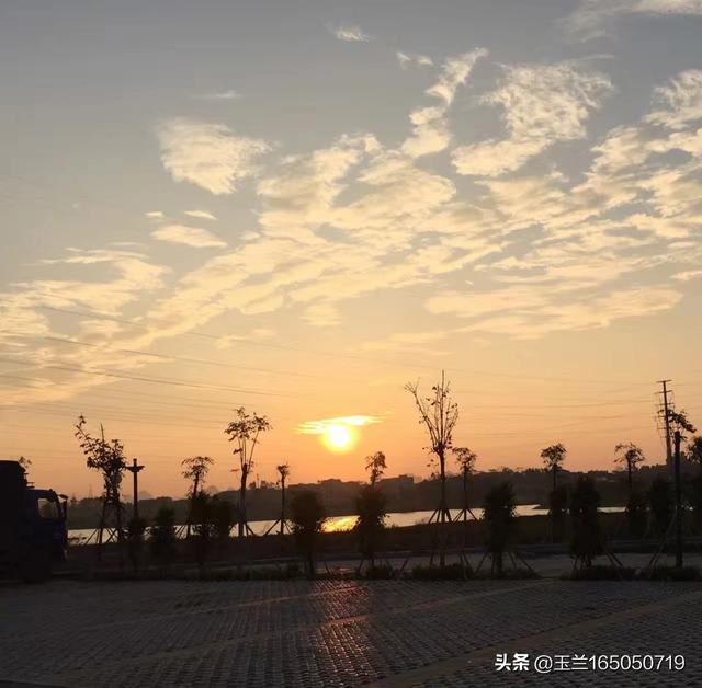 现在还有什么值得看的网文？