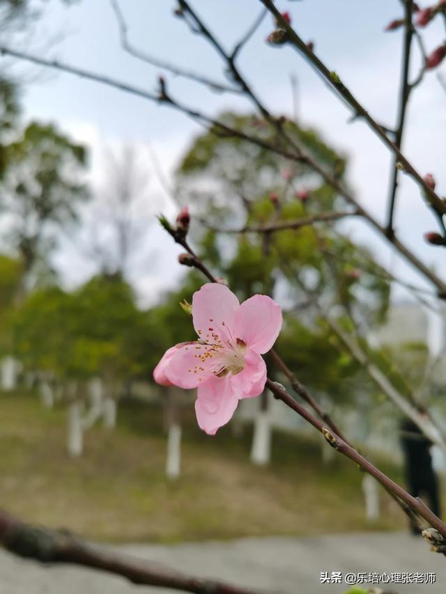 我玻璃心,总是经不起批评,别人说一说我我就崩溃掉眼泪了,怎么办,怎么成为一个强大的人？