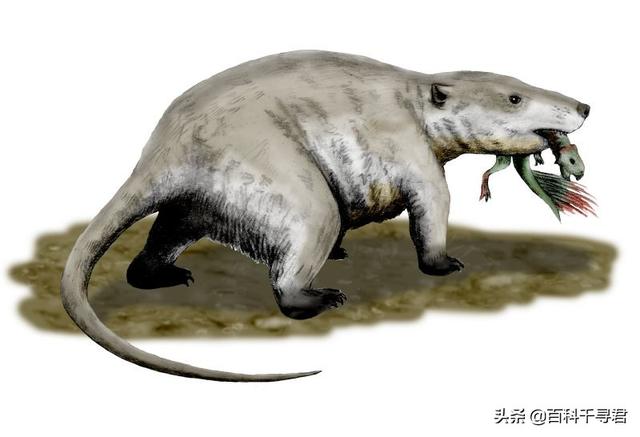 生下鲸豚兽:在恐龙时代没有哺乳动物吗？