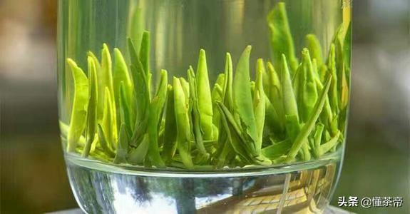 春茶好也得会泡，如何冲泡出一杯茶艺师水平的高级绿茶？