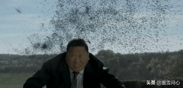 福氏耐格里变形虫:继杀人蜂之后，食脑虫又入侵美国，致死率更高，您怎么看这问题？