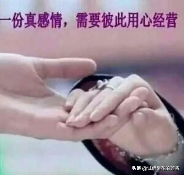 戴军何炅:《向往的生活》节目中需不需要增加一个会做饭的人？