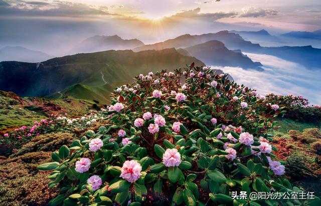 雅女 雅鱼 雅雨:中国宜居城市排名前十位是？