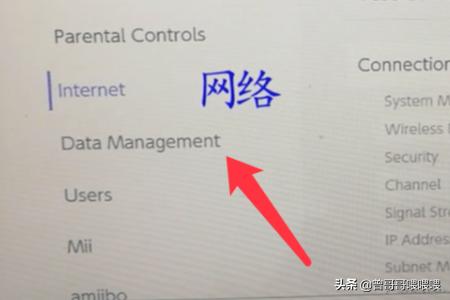 switch怎么改dns？