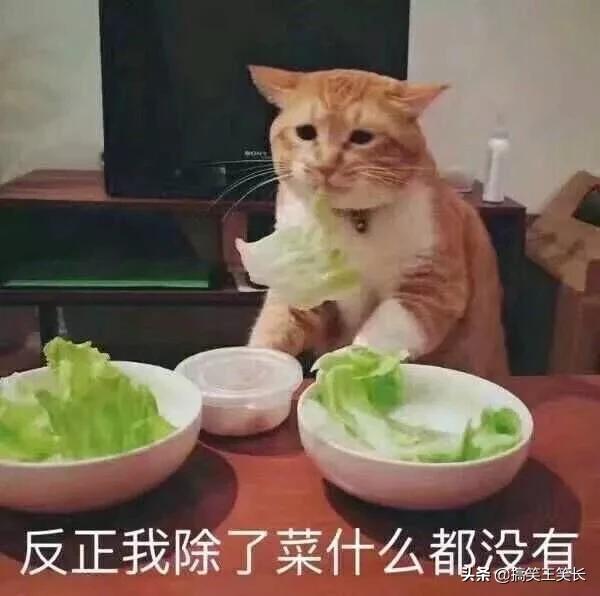 有哪些情侣网名是你听过最沙雕的(又皮又沙雕的情侣网名)