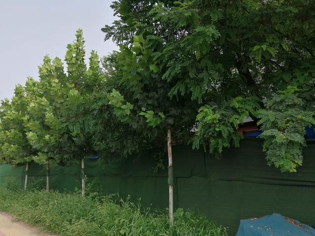 刘奕君一家三口照片:陶虹与家人度假遇车祸伤势严重现身医院，现在陶虹的情况怎样了？
