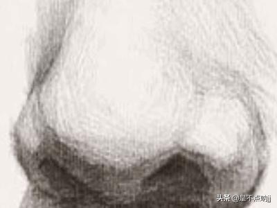 鼻子怎么画,素描入门教程：怎样画好鼻子？
