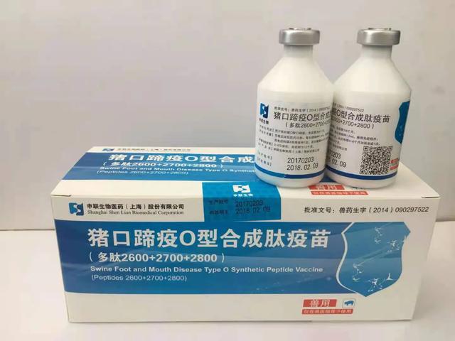 育肥猪口蹄疫的治疗:育肥猪，口蹄疫，黑蹄儿，这怎么处理？