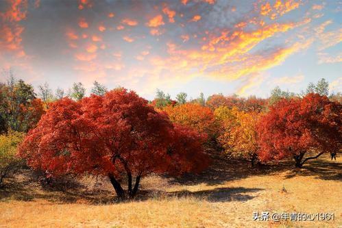 江苏自驾游海边线路:从江苏出发环游中国最好的路线怎么走？小车住酒店还是买房车？