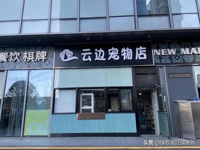 创业专家，宠物店是现在年轻人创业的优选吗｜铺专家转让公司平台