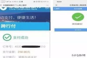 云南省税务局社保缴费：云南省税务局社保缴费为什么交不了