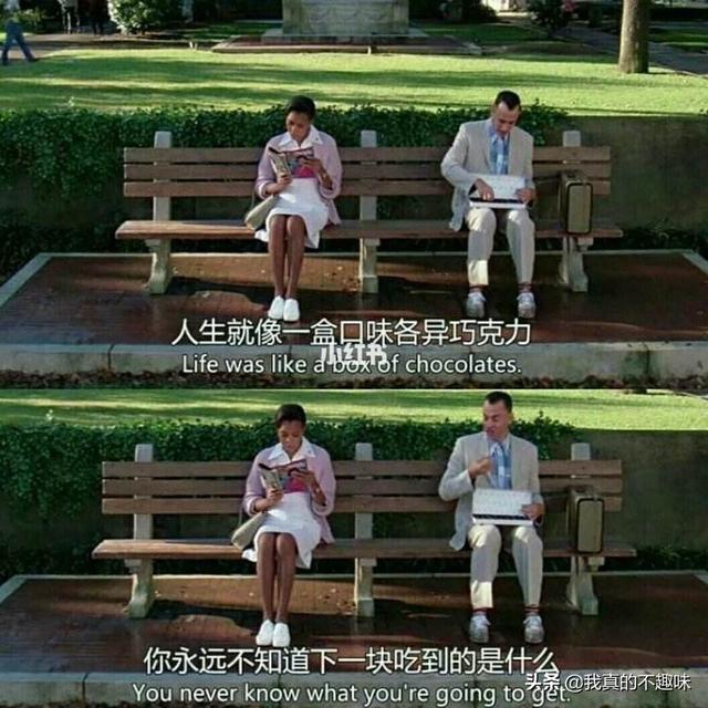 袁文康个人资料:袁文康给人一种什么感觉，会不会成为下一个王凯