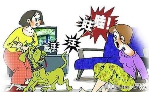 威海车主拖行虐狗事件:如何看待哈尔滨虐狗事件？