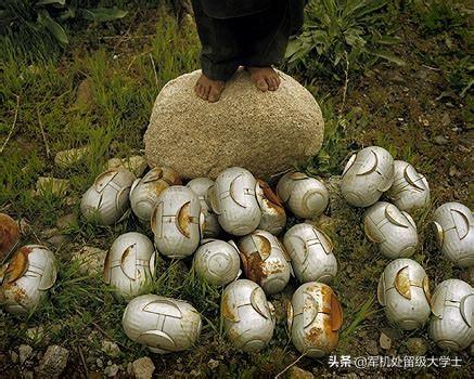 407事件到底有多血腥:有哪些非常血腥真实的案件？