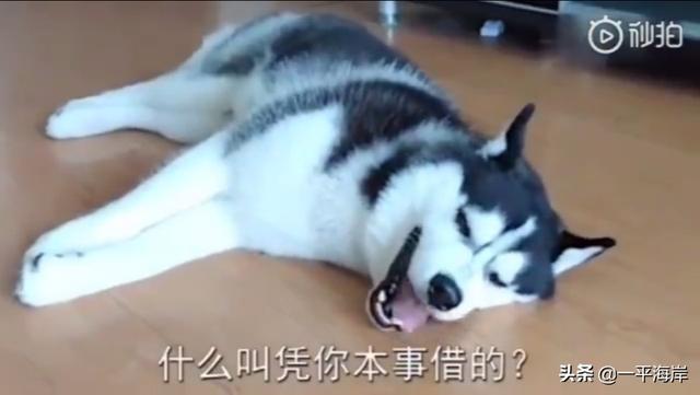 网贷逾期一天,但是被爆通讯录了,我这种情况该怎么办才好？