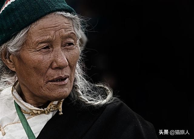 广州藏獒:特别希望去西藏，那边去买一只藏獒，带到南方养的活吗？