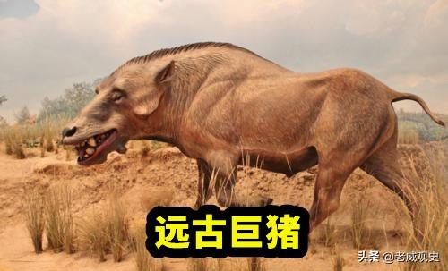 头条问答 远古时期有哪些巨兽 幻世魔王的回答 0赞