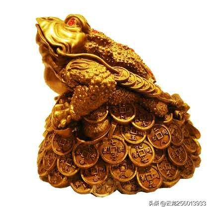 金钱活门蛛的资料:金钱活门蛛的照片 杭州失踪女子，许某弟照顾侄女，为什么会被这么多人理解为贪财？