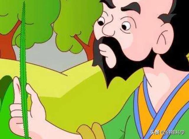 什么是仿生学:仿生学人类根据什么发明了啥？​？