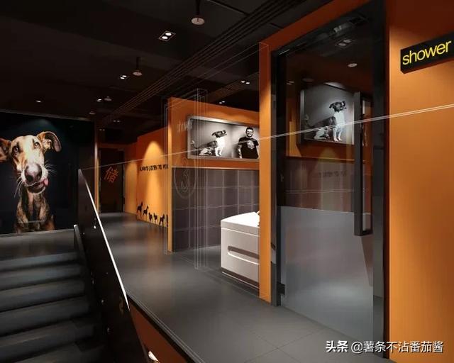 宠物服务项目简介:现在比较新奇的宠物服务都有哪些？