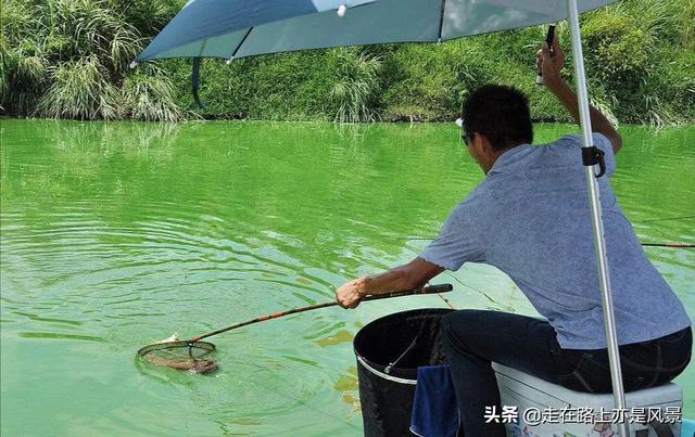 金城武老婆:有个爱钓鱼的老公是什么体验？