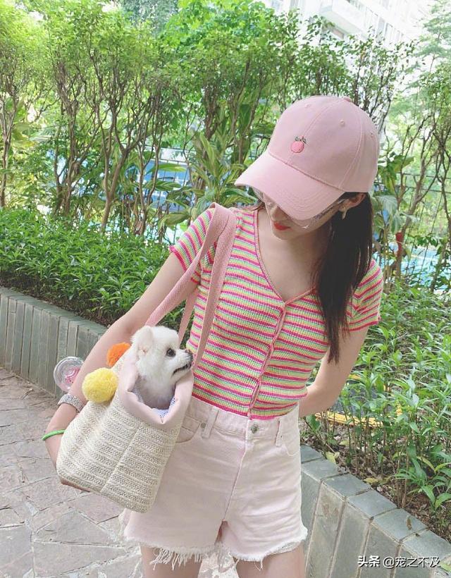 优爵宠物食品如何加盟:开一家宠物连锁店怎么样？