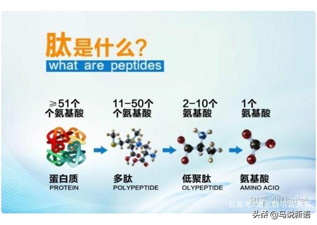 肽不适合人群,肽是什么，对人体有什么作用？