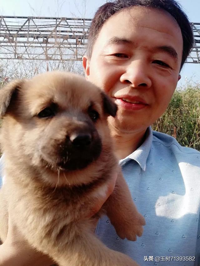 可爱小小时尚狗的照片:你手机里有可爱狗狗的照片么？发出来看看？ 可爱小白狗的照片