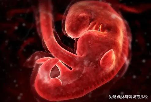死胎有什么症状:停胎有什么症状。停胎多久能发现？
