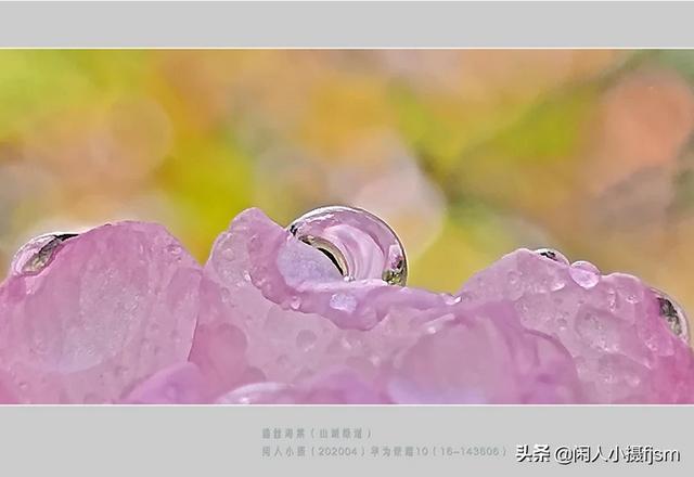 使用手机拍摄，使用“前景”有什么技巧