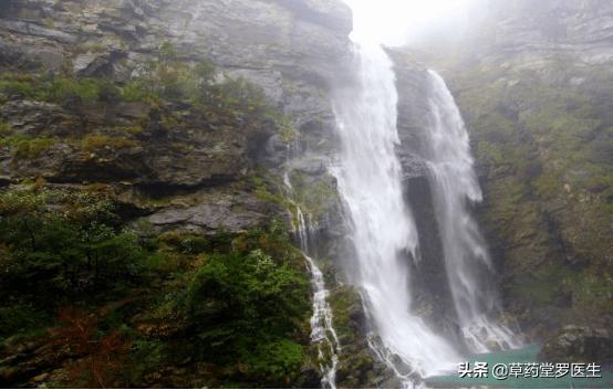 喜欢给主播打赏的人,本质的心理是什么？为了博红颜一笑吗？