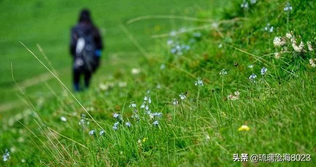 俄罗斯高加索地区旅游:格鲁吉亚乌树故里怎么样？好玩吗？