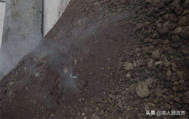 酵素菌发酵鸡粪:发酵的鸡粪是如何成为养猪的饲料的？ 酵素可以发酵鸡粪吗