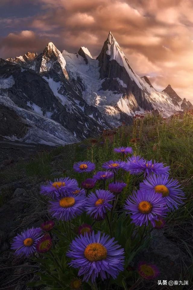 头条问答 - 摄影时怎样对焦才能让不同距离的物体都拍摄清晰?