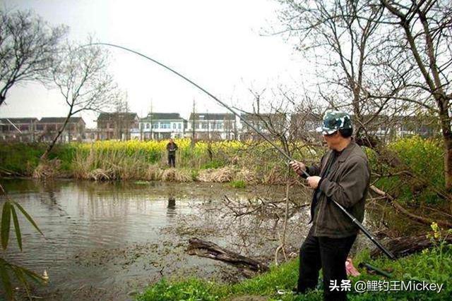 冰钓黄金鲫鱼:冬季走水处有大板鲫吗？怎么钓？