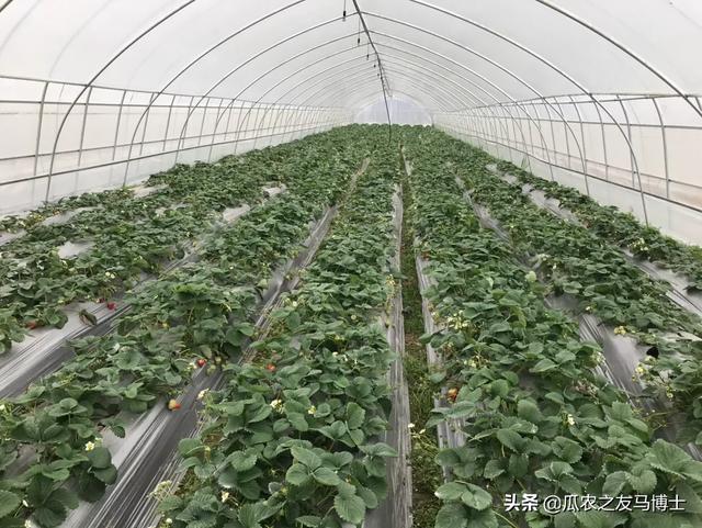 对于当前疫情情况下很多农产品滞销。如何才能把这些产品卖出去？
