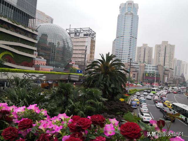 北京确诊肺鼠疫新京报:北京爆发了疫情，未来房价走势会怎样？