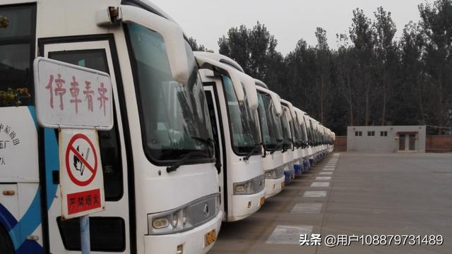 头条问答 驾照可以开19座旅游大巴车吗 需要营运证吗 43个回答