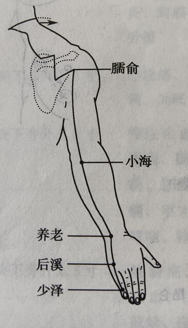 五指如何对应五脏？